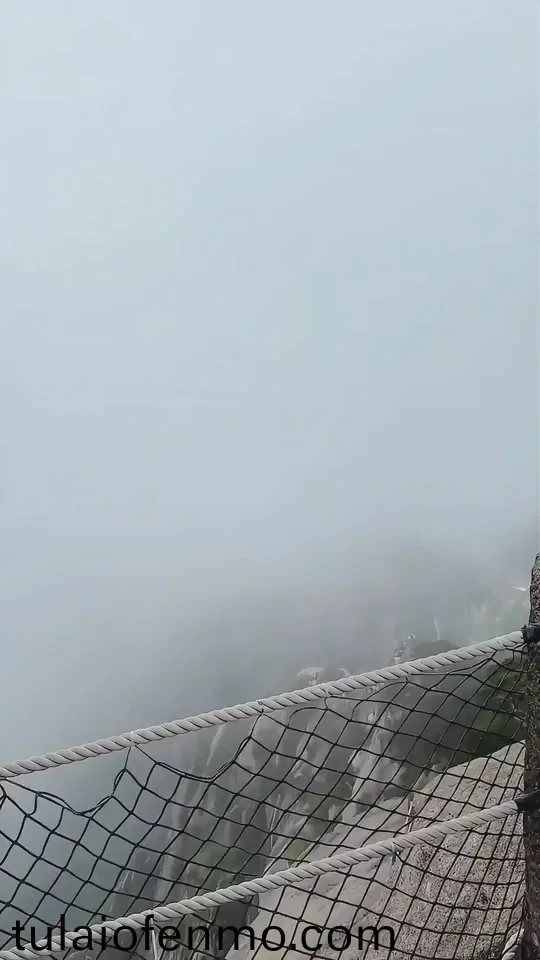 麻豆aⅴ精品无码一区二区